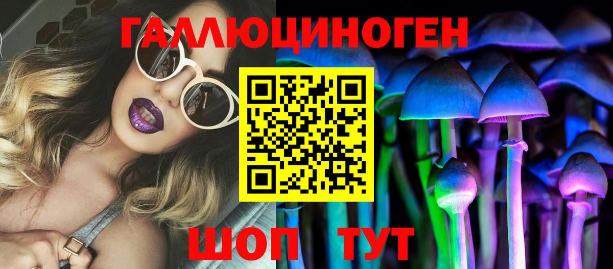 Псилоцибиновые грибы Psilocybine cubensis  Псилоцибиновые грибы мицелий  Вход с VPN  Иркутск 
